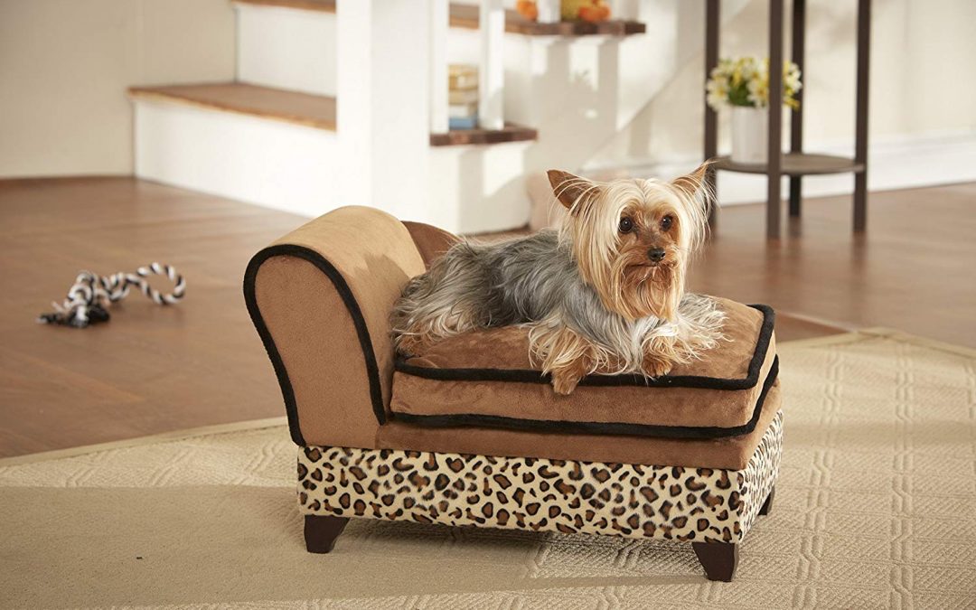 Ein Sofa für Hunde und Katzen moebelundwohnideen.de