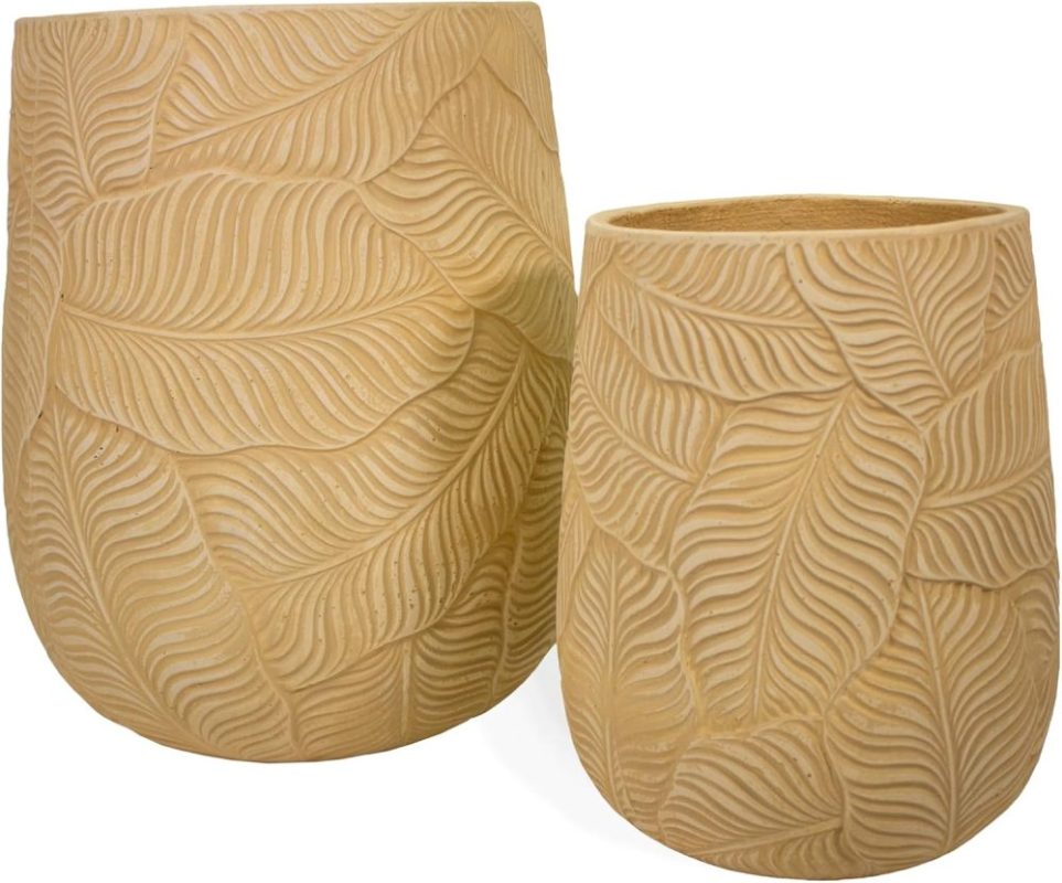 71w8AnLNbAL._AC_SL1500_